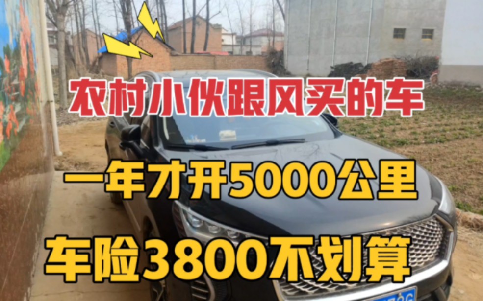 农村小伙跟风买的车,1年开5000公里,却给保险公司交3800元车险哔哩哔哩bilibili