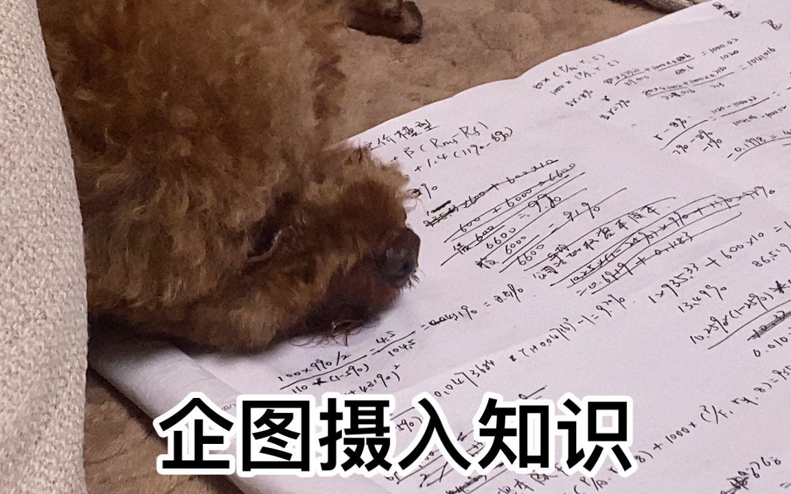 【企鹅菌的甜甜】企图摄入知识(超短)