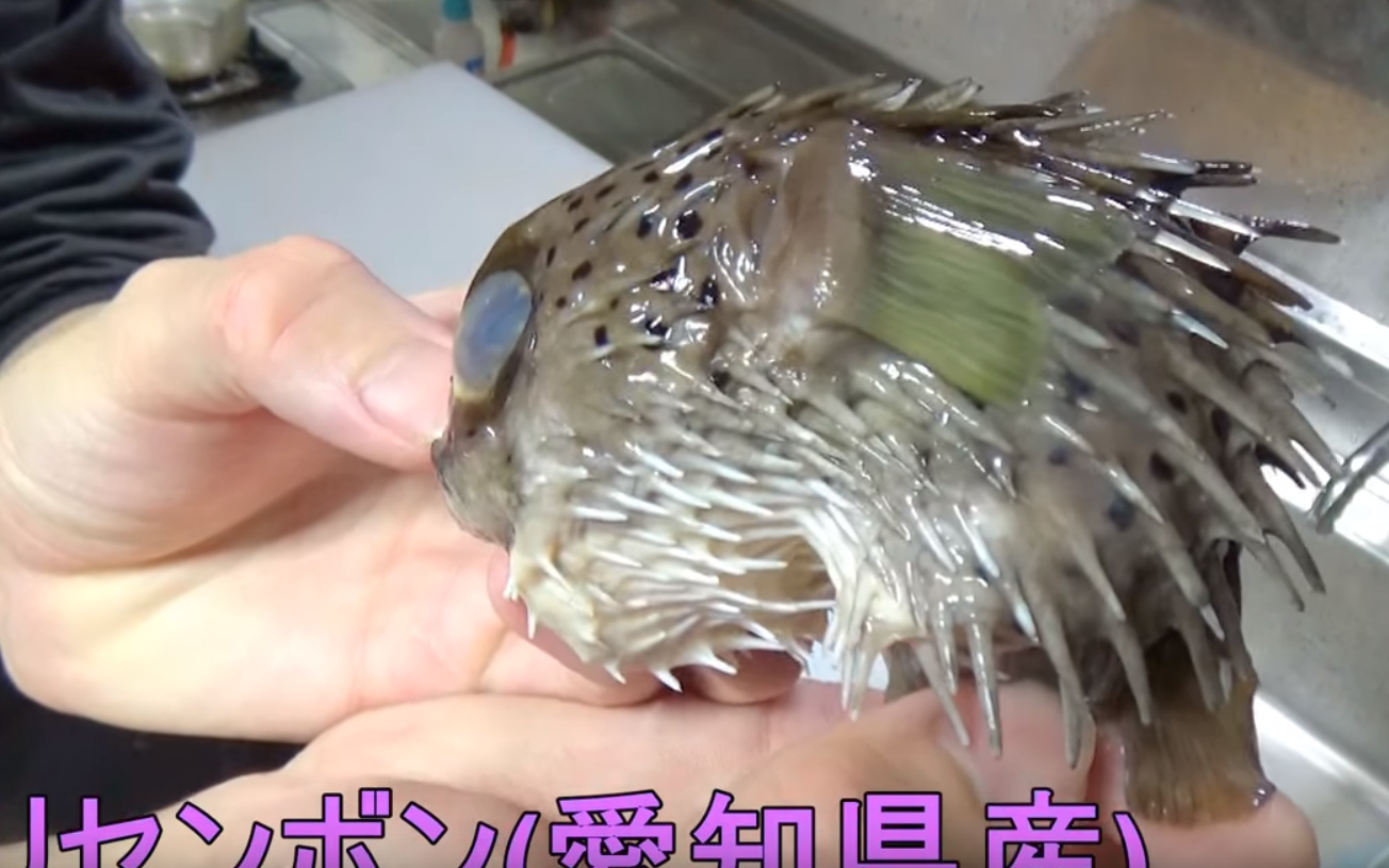 海鲜小哥金子充满荆棘的鱼