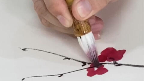 水墨画 梅花画法 二 哔哩哔哩