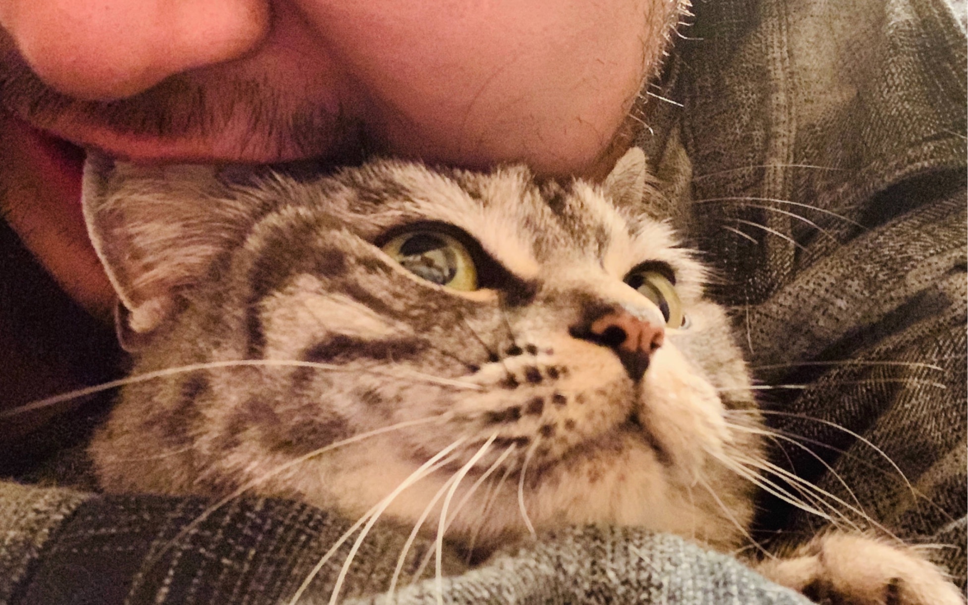 《广岛之恋》马頔/宋冬野