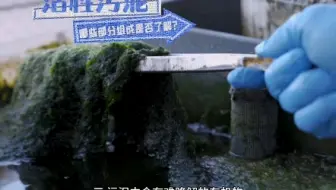 活性污泥有哪些部分组成？微生物，有机物，无机物#污泥处理 #好氧菌#厌氧菌#硝化菌#反硝化菌