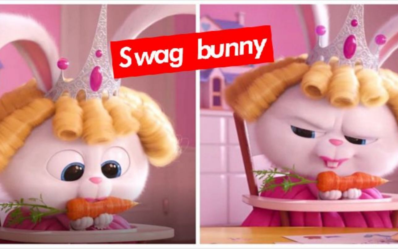 主人刚离开家兔子竟然开始rap爱宠大机密2swaggybunnysnowballsrap