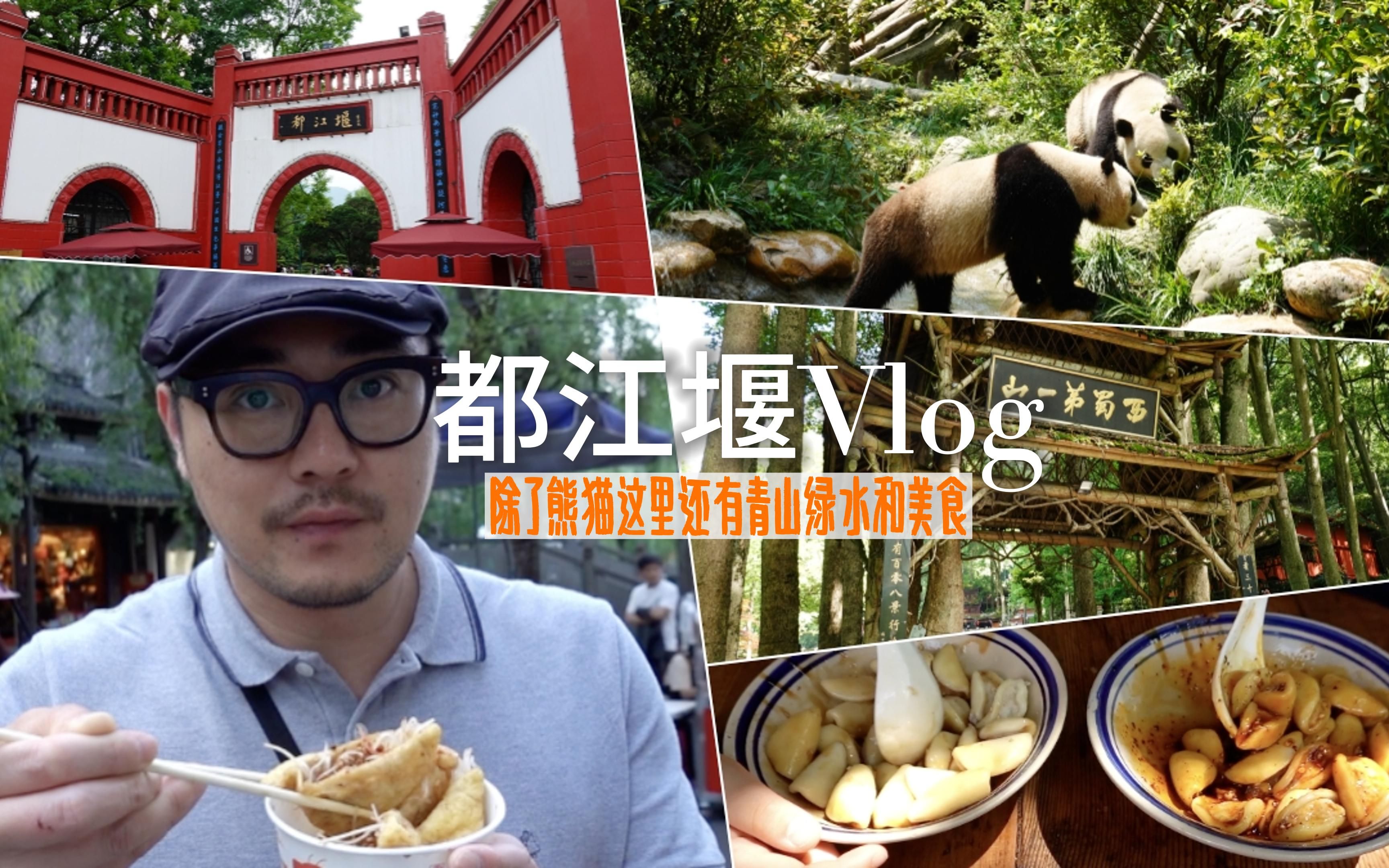 旅行vlog | 带你感受不一样的都江堰哔哩哔哩bilibili