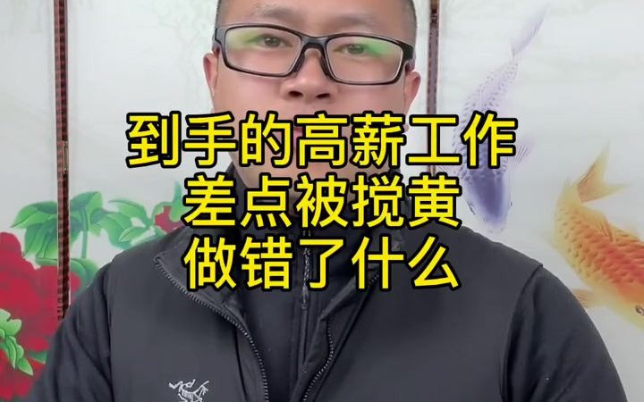 到手的高薪工作差点被搅黄,做错了什么 #张燚伟 #职场哔哩哔哩bilibili