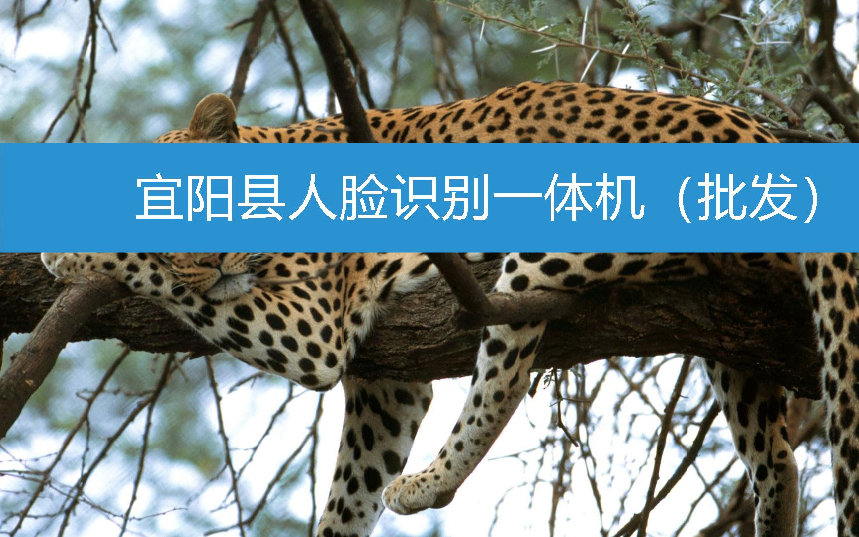 宜阳县人脸识别一体机(批发) (2023年3月6日16时15分32秒已更新)哔哩哔哩bilibili