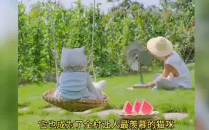 Download Video: 把猫咪当做女朋友来养，来自一人一猫的惬意田园生活。