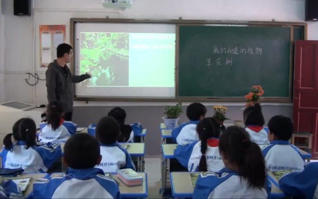 [图]小学科学《我们知道的植物》公开课 优质课【市一等奖 新课标】