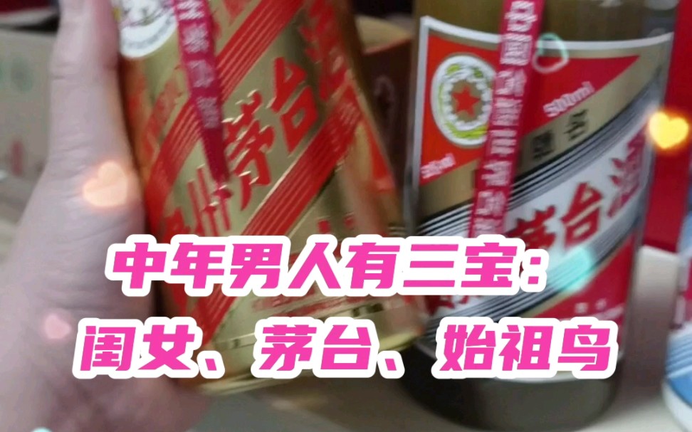 中年男人有三宝:闺女,茅台,始祖鸟