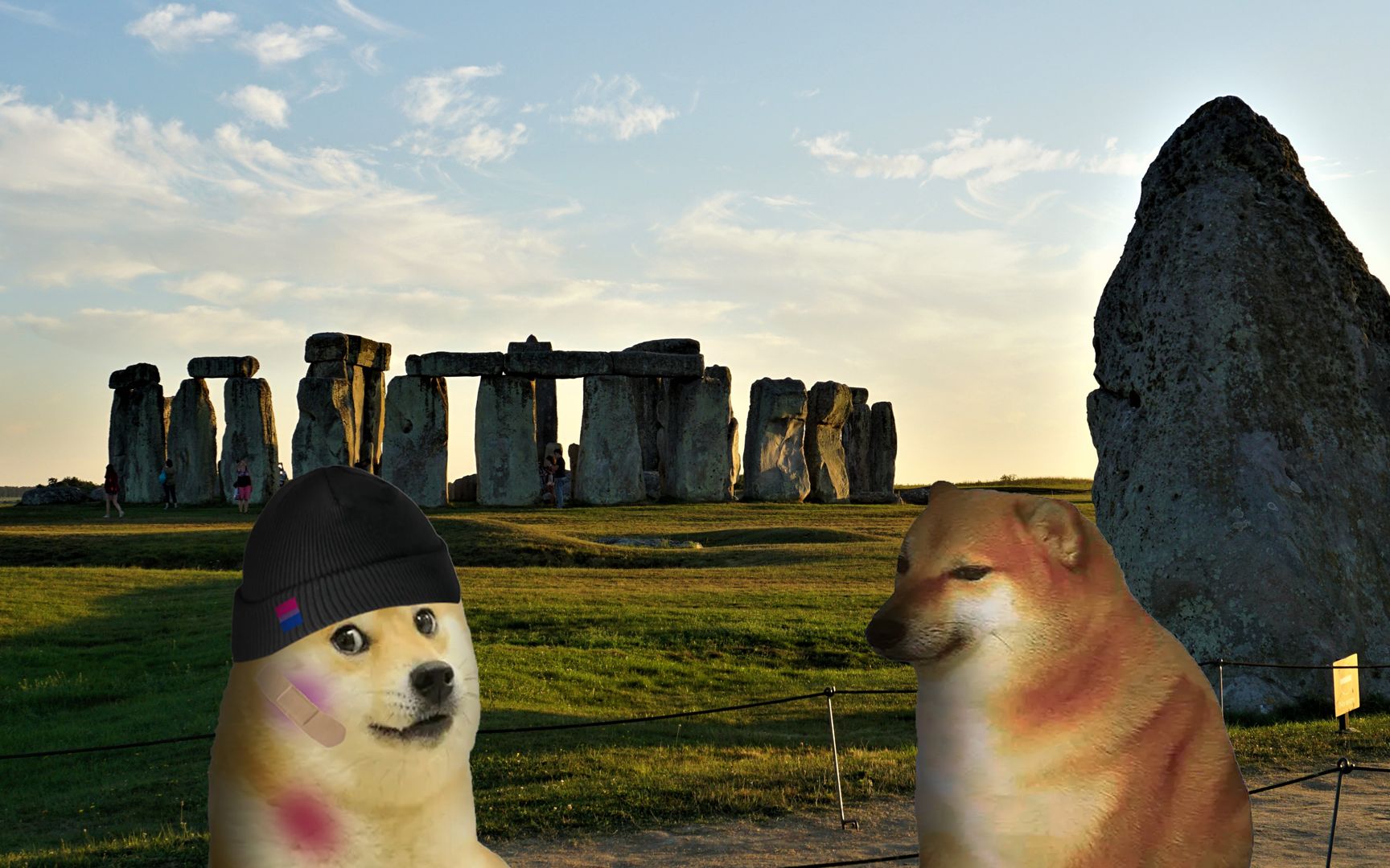 "cheems,很高兴能遇见你们"