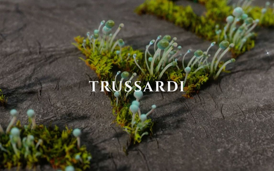 过去与未来联结丨Trussardi 2022秋冬系列哔哩哔哩bilibili