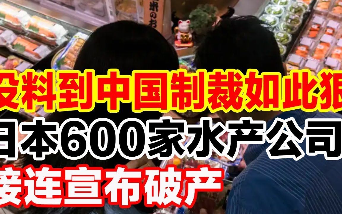 没料到中国制裁如此狠,日本600家水产公司接连宣布破产哔哩哔哩bilibili