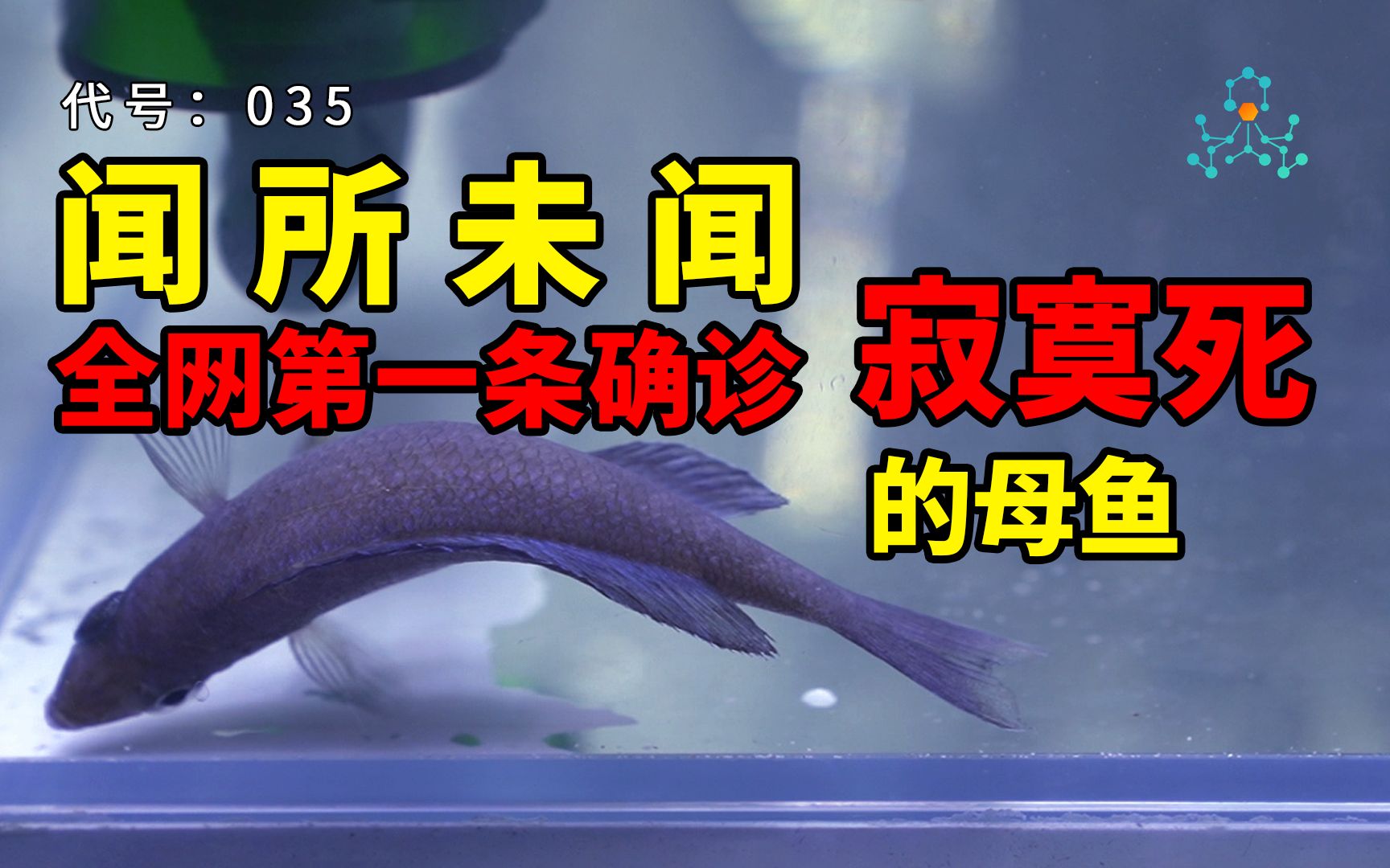 “法医鱼渣”之剑沙倒立之谜,全网最离奇的死因之一哔哩哔哩bilibili