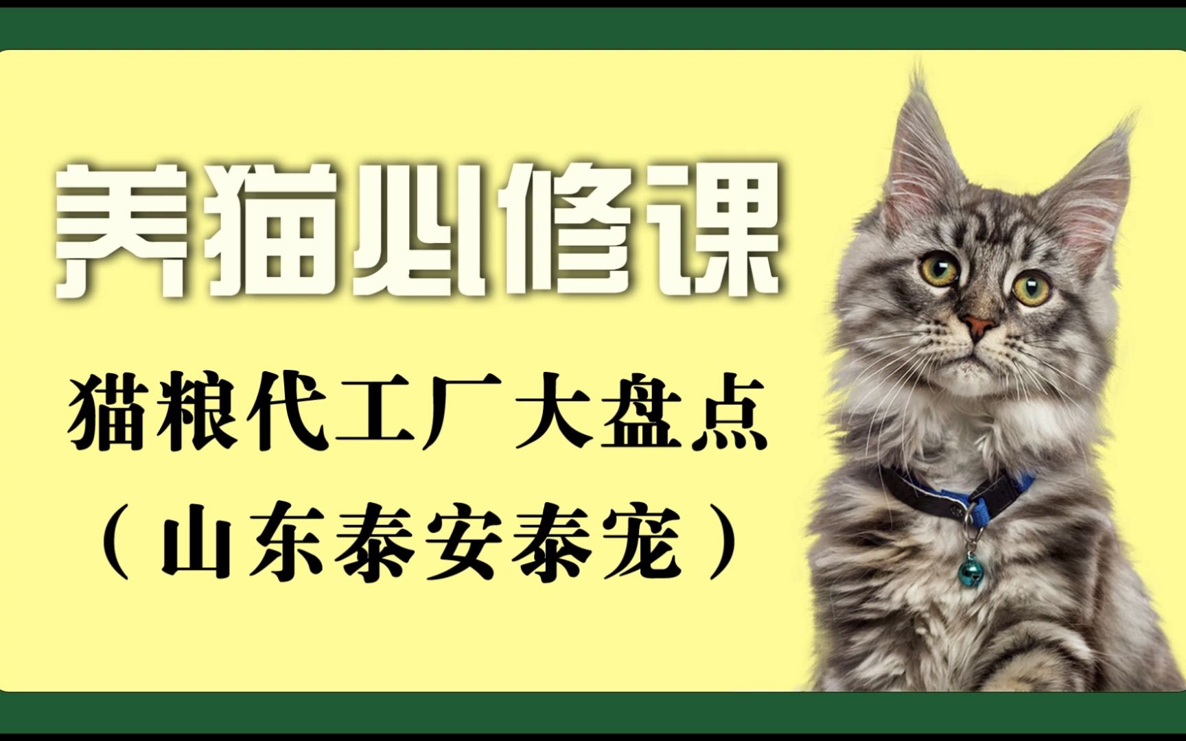 养猫必修课——猫粮代工厂大盘点——山东泰宠哔哩哔哩bilibili