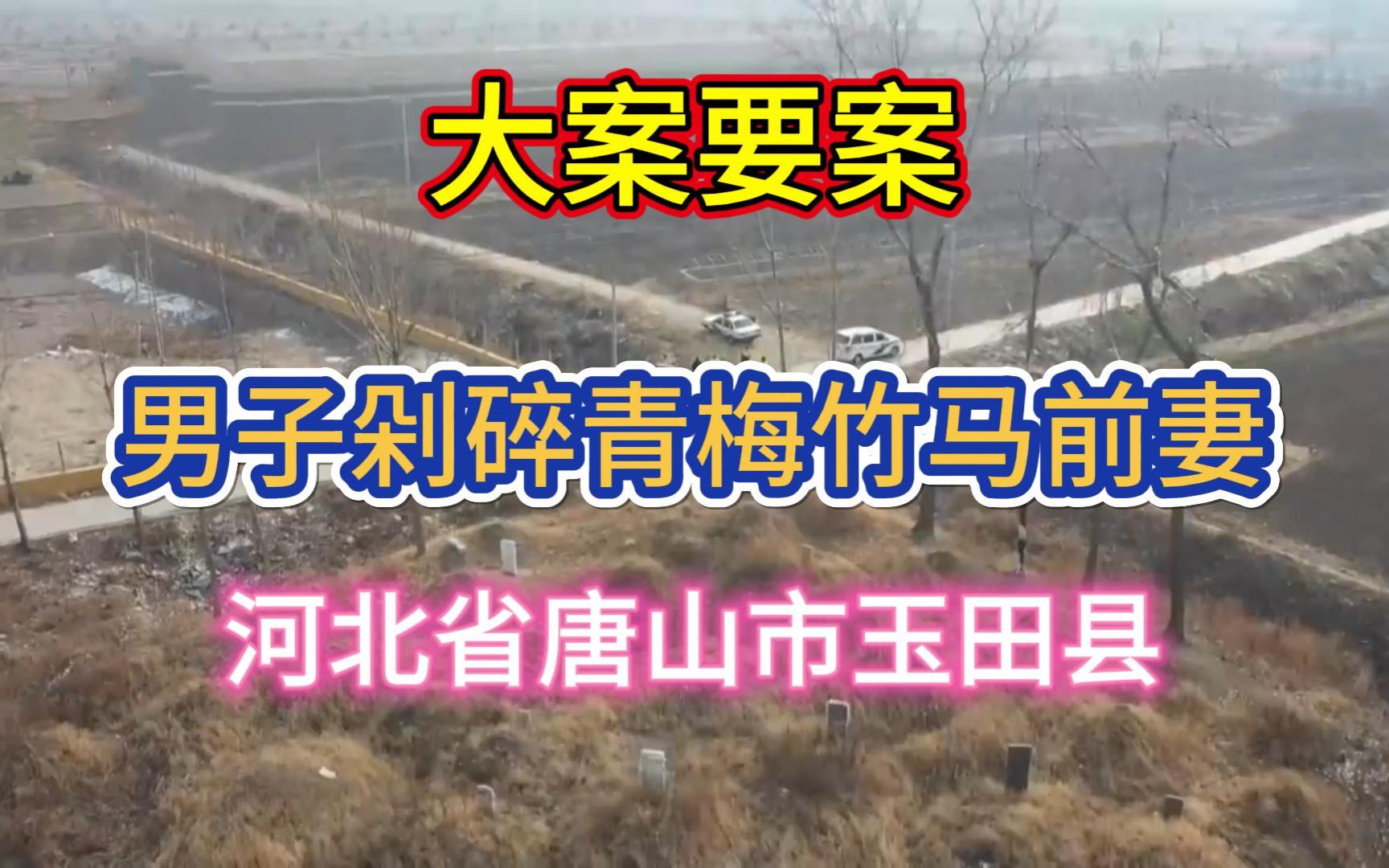 大案要案:男子剁碎青梅竹马前妻.(河北省唐山市玉田县命案)哔哩哔哩bilibili