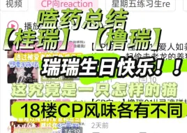 【四代CP小结】桂瑞|橹瑞|被爱者视角：这究竟是一只怎样的猫？？瑞儿生日快乐！天天开心