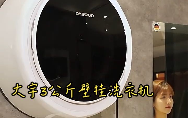 大宇壁掛式洗衣機bgx05