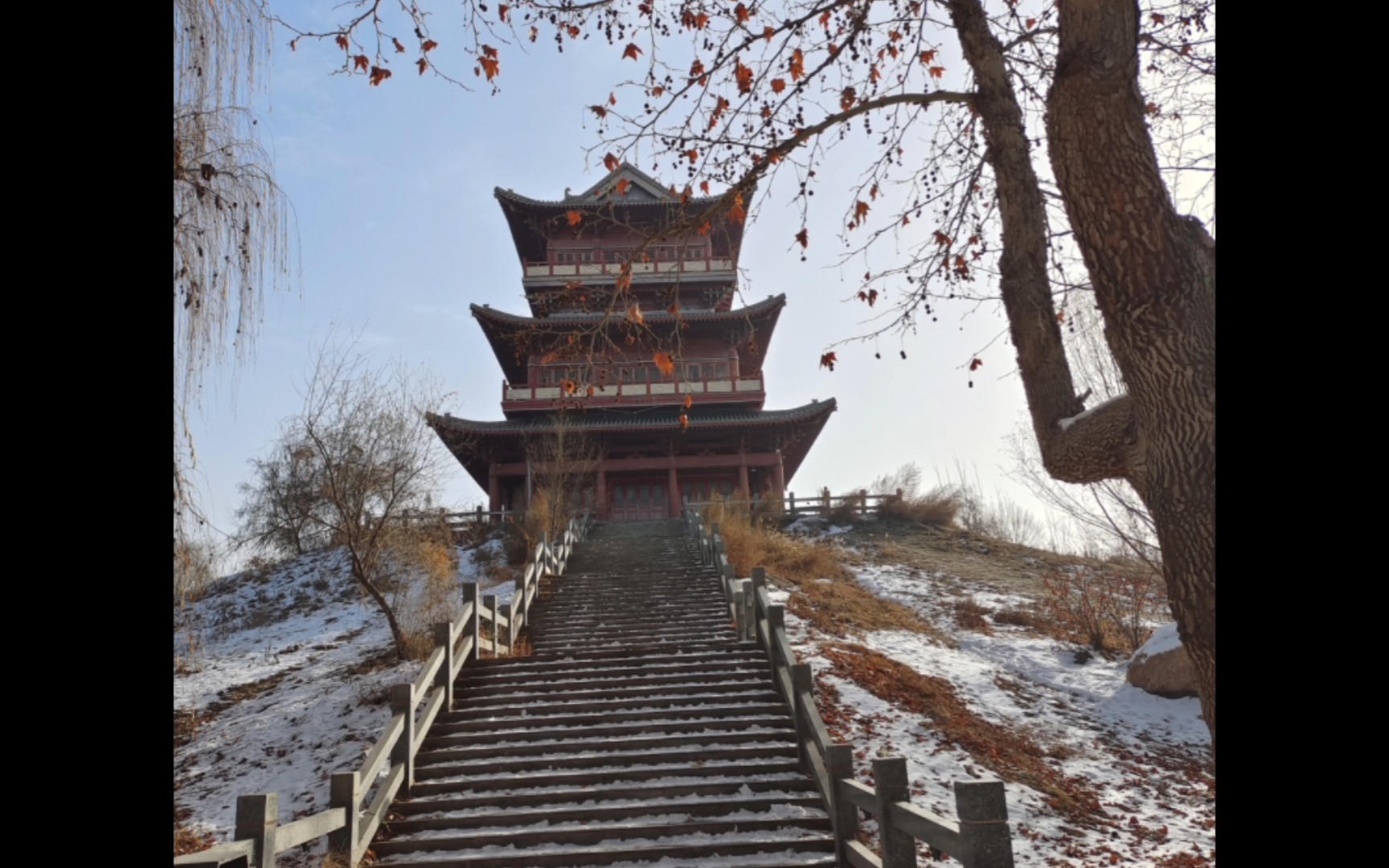 法桐公园一游