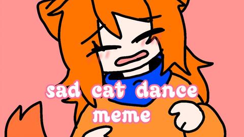 sad cat dance - BiliBili