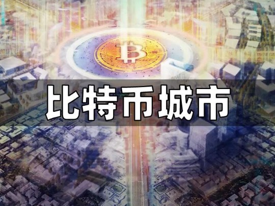 用30万个比特币来建造一个只有比特币的城市哔哩哔哩bilibili