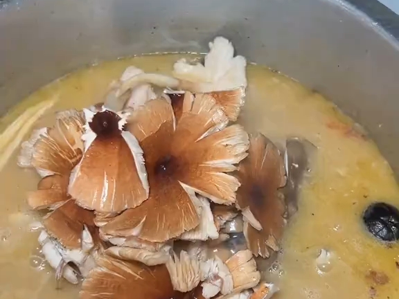 这一锅鲜得很