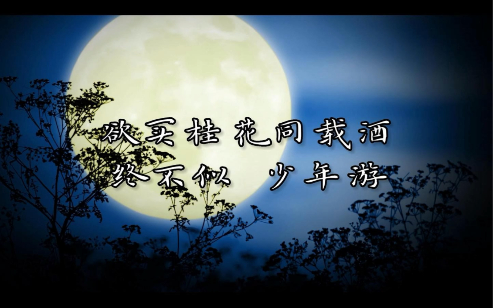 欲买桂花同载酒,终不似 少年游