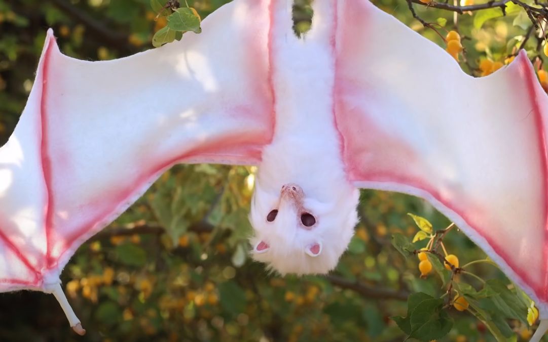 如何制作以假乱真的蝙蝠兽偶?国外大佬手把手详细教学