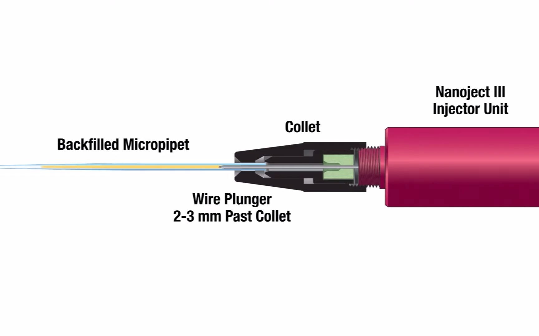显微注射泵Nanoject III注射针的装针步骤介绍哔哩哔哩bilibili