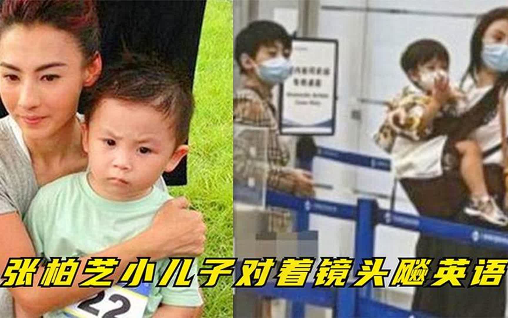 三胎儿子跟张柏芝抢镜头,奶萌狂飙英语,网友惊呼:这是2岁的娃