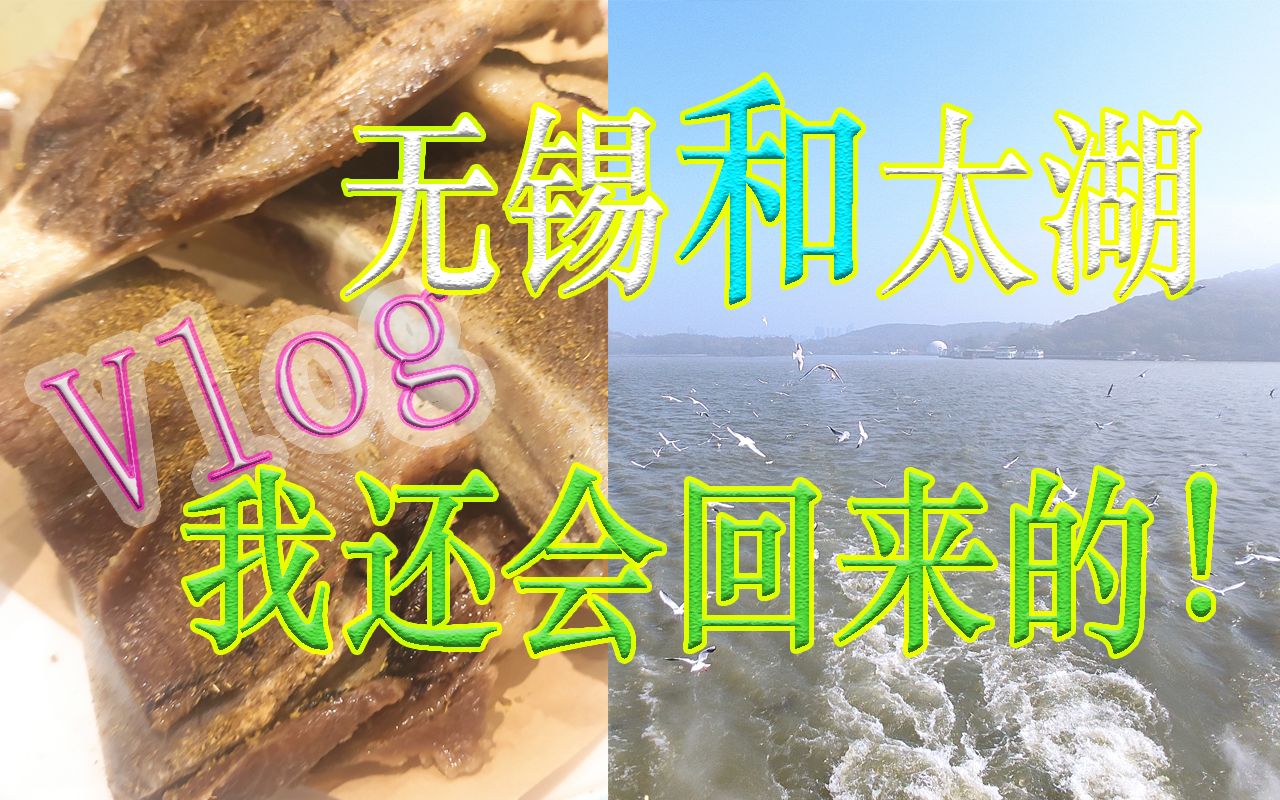 【Vlog】无锡之鼋头渚和南禅寺20221112哔哩哔哩bilibili