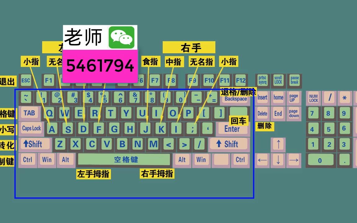 零基础学电脑打字入门教程,老师一步一步教会你