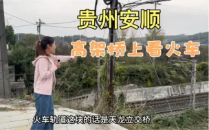 Télécharger la video: 贵州安顺，高架桥上看火车，妹子从早看到晚，真过瘾！