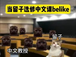 下载视频: 中国人想水中文课？处处是陷阱！belike