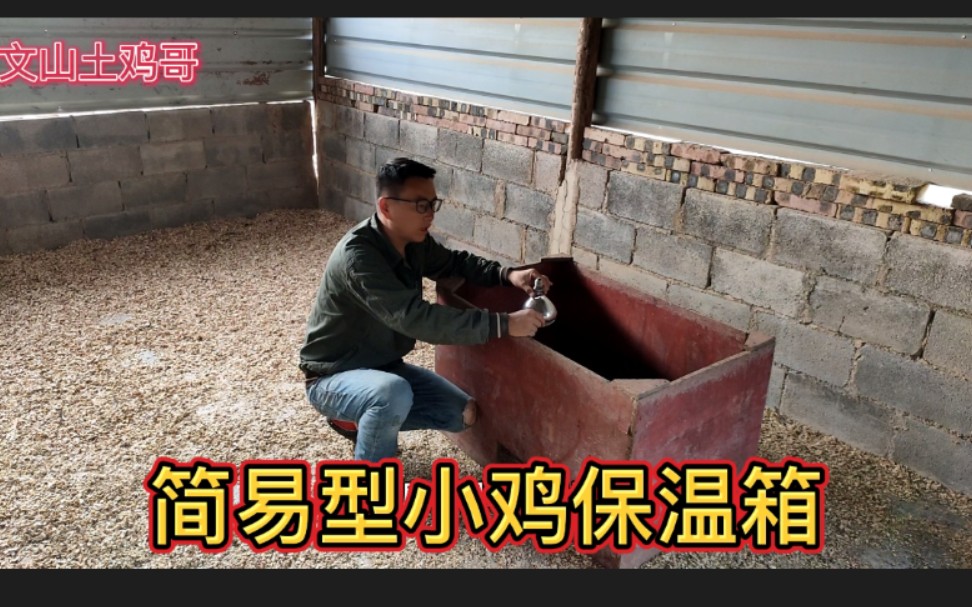 小规模养殖小鸡,简易型脱温箱特别实用,小鸡也不容易生病了
