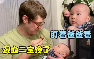 Tải video: 混血二宝才3个月就像个小吃货，闻到肉味馋的流口水：咋不给我吃一口？