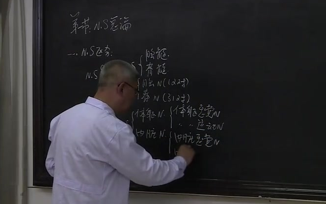 [图]【人解】【系解】天星医学专升本好课分享，霍琨老师手绘解剖学视频（带字幕版）第九章-中枢神经系统