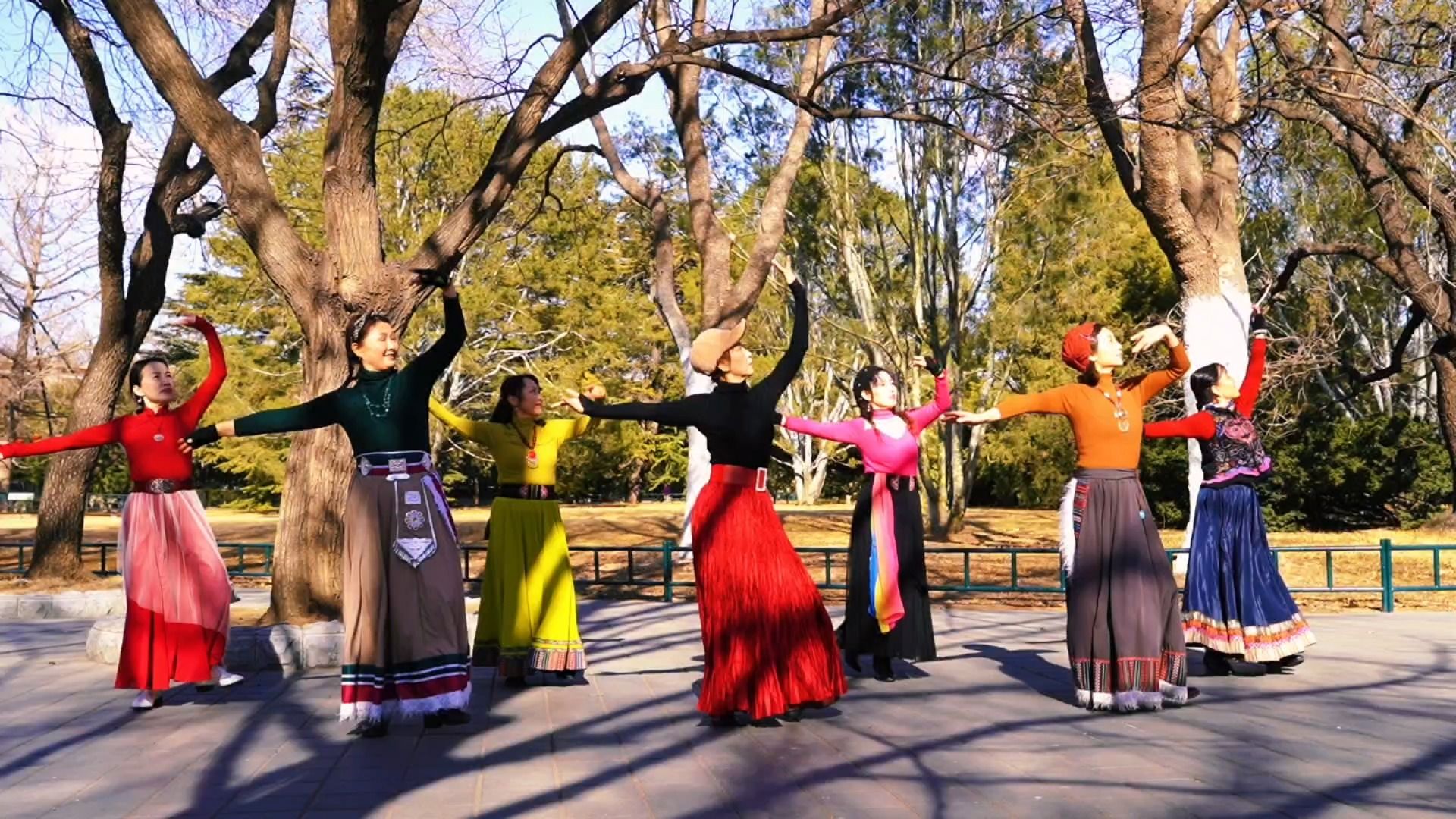 魅力朵朵广场舞《寻梦的卓玛》歌好听,舞好看