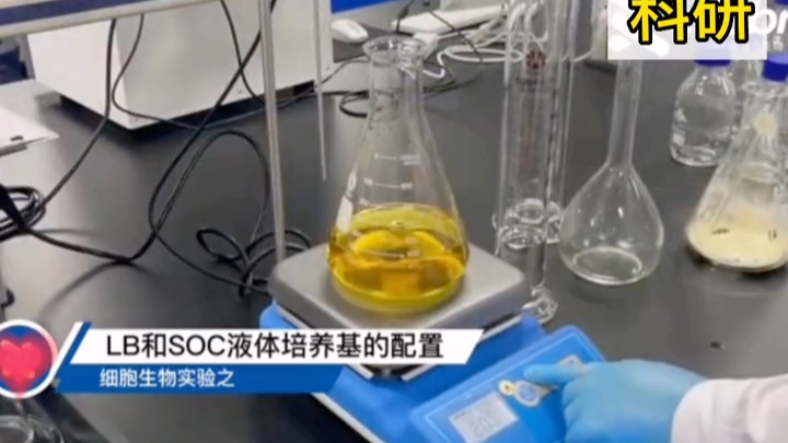 [图]细胞实验LB和SCO液体培养基的配置#广州医瑞贝生物#科研#生物#实验