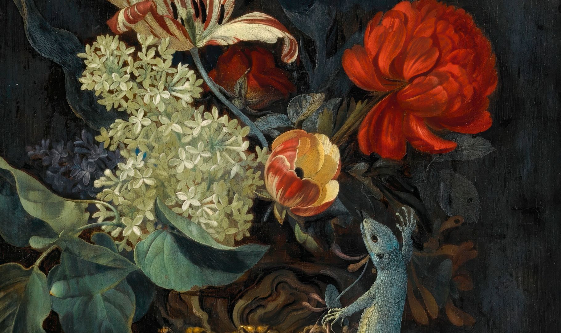 荷兰画家willem van aelst精选高清油画作品集