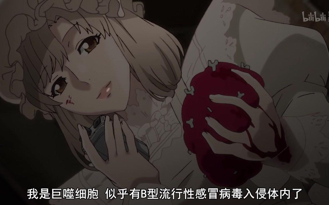 工作细胞 03 抗着柴刀女仆装的 超级御姐 巨噬细胞 登场!