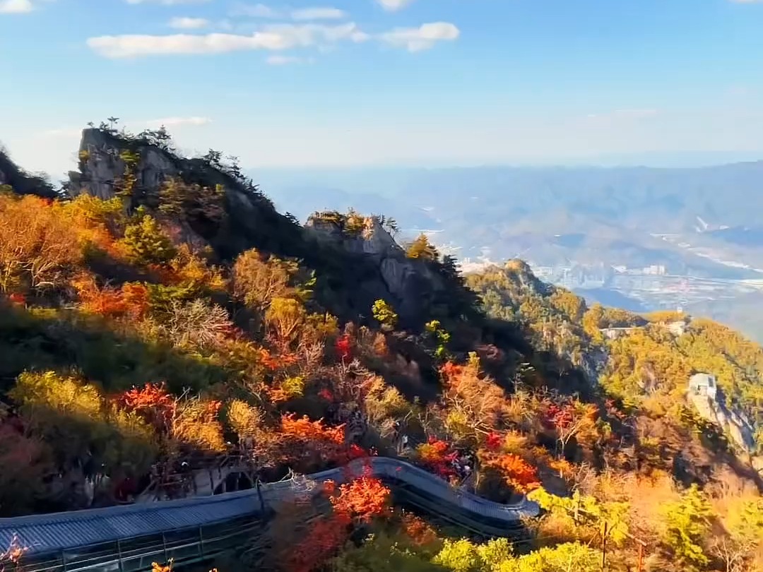 走进老君山五彩斑斓的秋色,愿你拥有美好的时光!哔哩哔哩bilibili