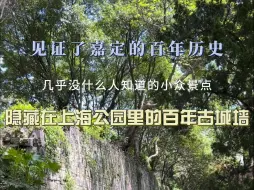 Download Video: 告别人挤人！打卡上海的超小众景点