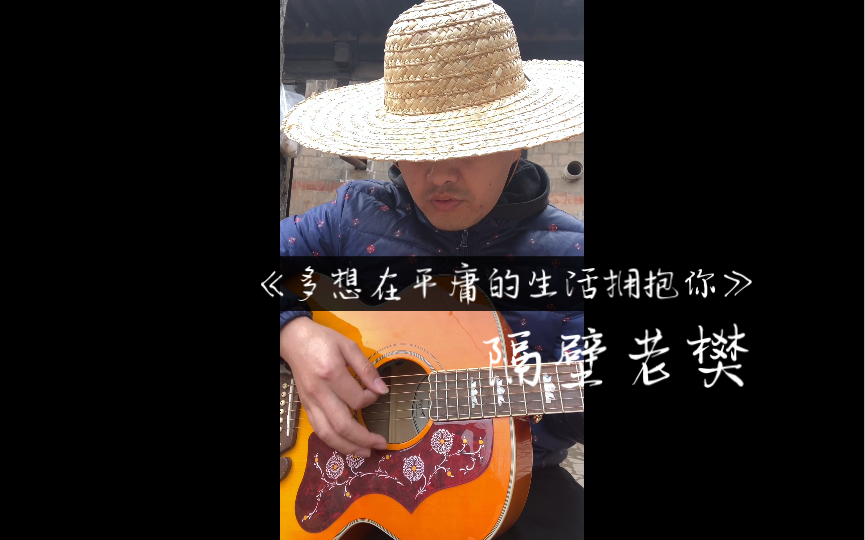 《多想在平庸的生活拥抱你》隔壁老樊 吉他弹唱