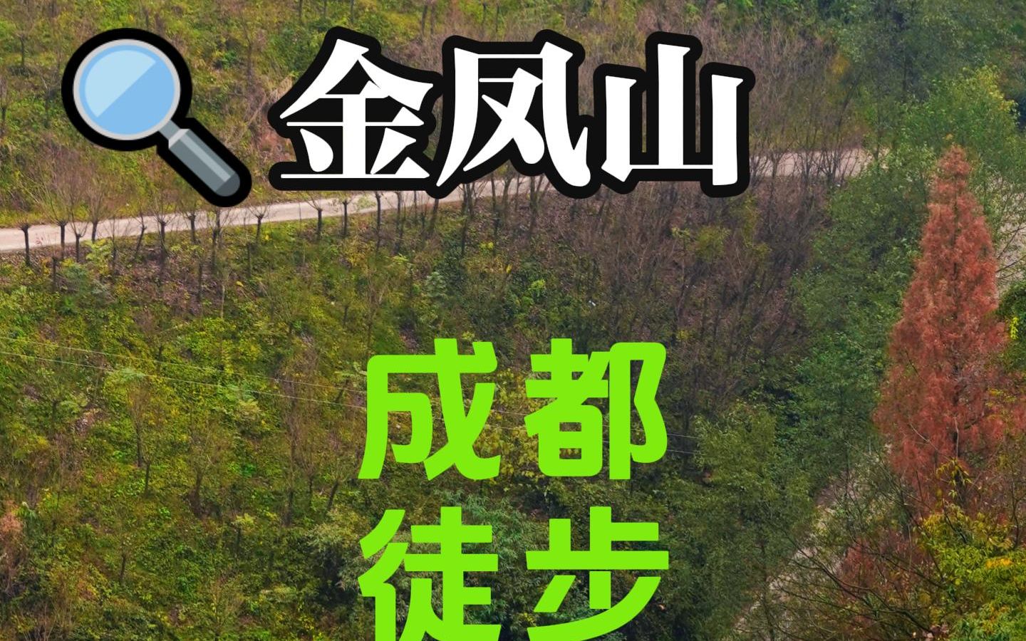 金凤山云端步道,抓住秋天的尾巴