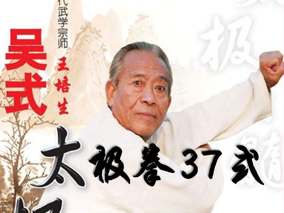 王培生老师吴式太极拳37式.分段演示(分段式名字幕+精校补缺)[▲rz]哔哩哔哩bilibili