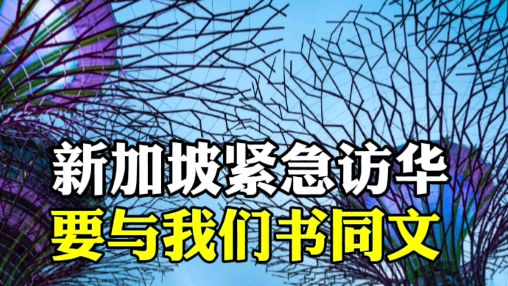 担心克拉运河开挖,新加坡紧急访华,要和我们书同文车共轨.哔哩哔哩bilibili