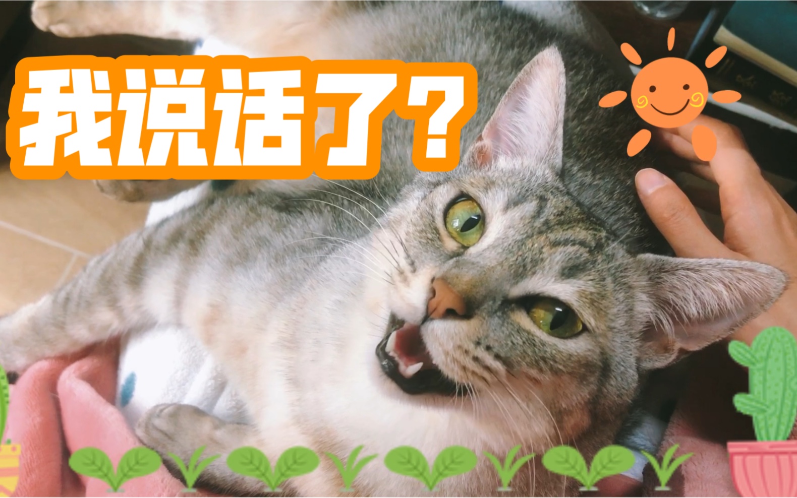 宝娟?我的嗓子?_哔哩哔哩_bilibili