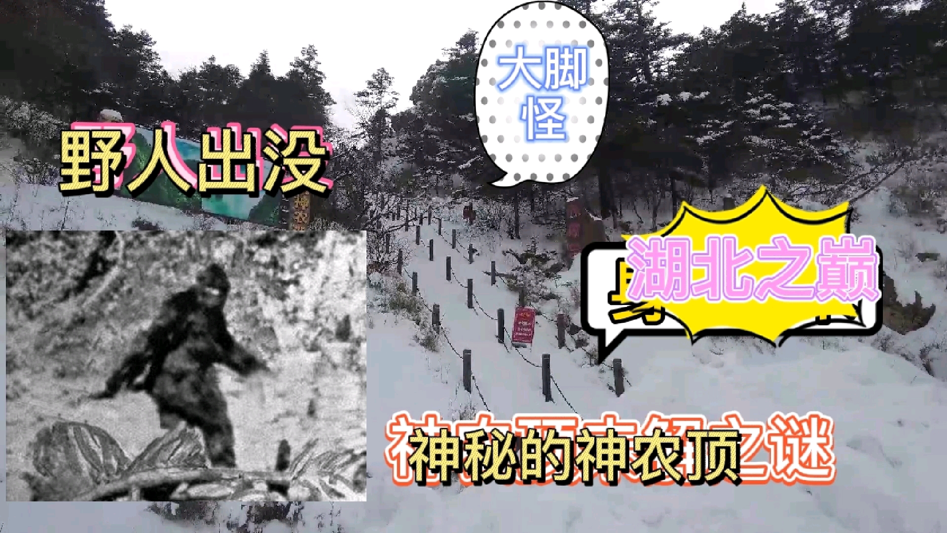 [图]探秘神农架野人之谜，山顶下雪了气温低，野人皮草厚能抵御酷寒。