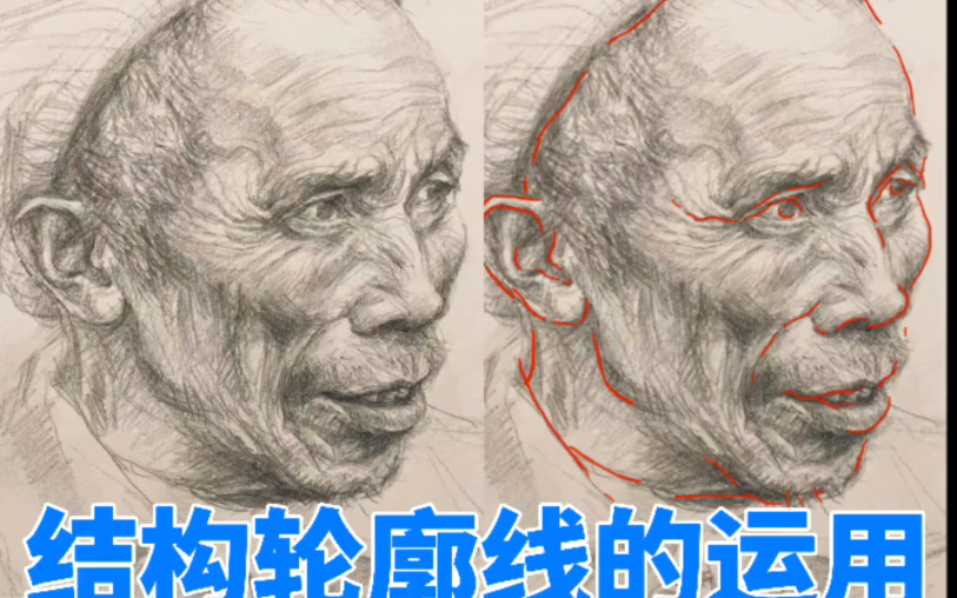 素描结构轮廓线的运用哔哩哔哩bilibili