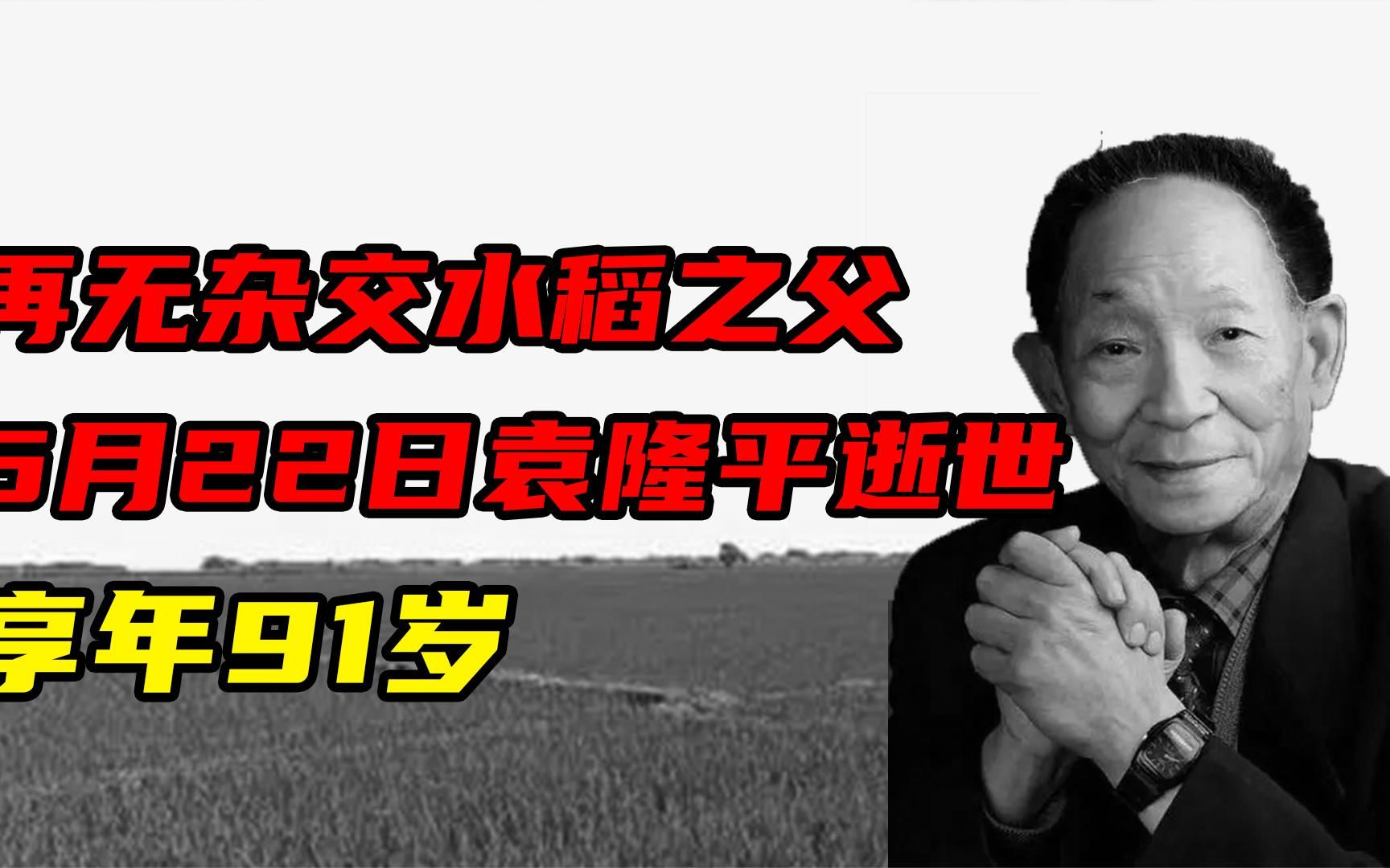 世界再无杂交水稻之父!5月22日,袁隆平逝世,享年91岁哔哩哔哩bilibili